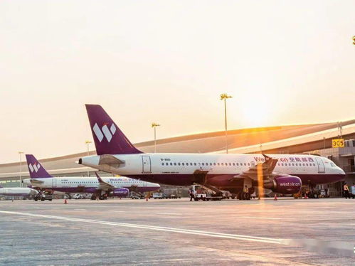 西部航空全面恢复运营，3月关键指标逆势超越疫情前水平